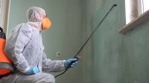 Best Mold Prevention Services in Allendale, SC