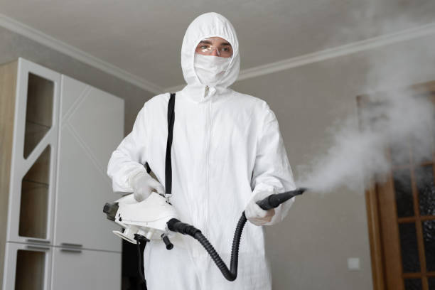 Why You Should Choose Our Mold Remediation Services in Allendale, SC